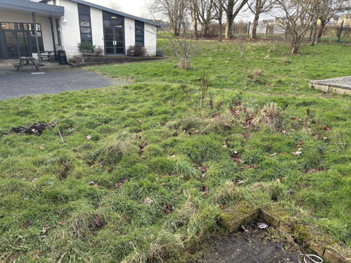 school_garden_before_1.png