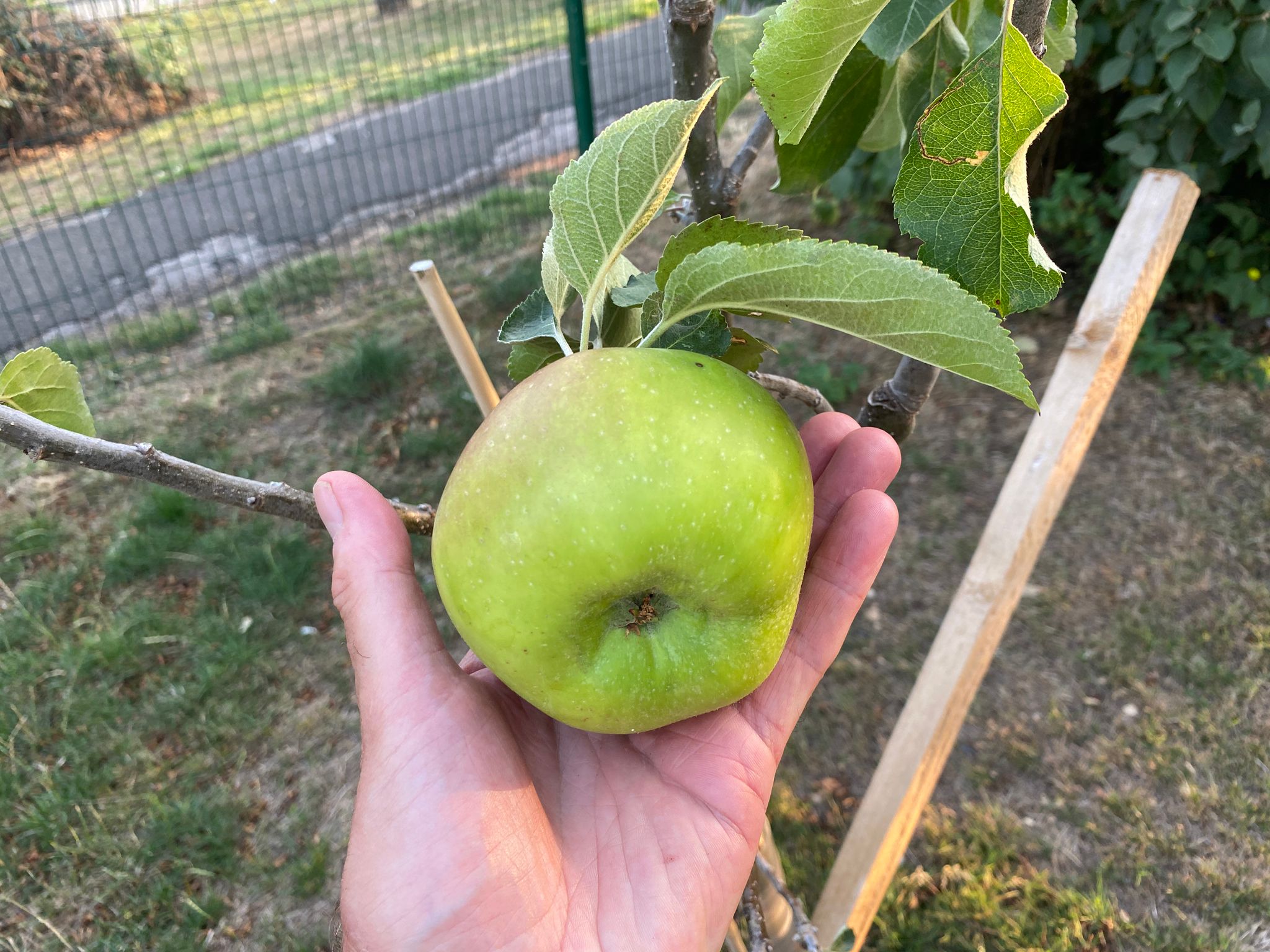 Garden First Produce
